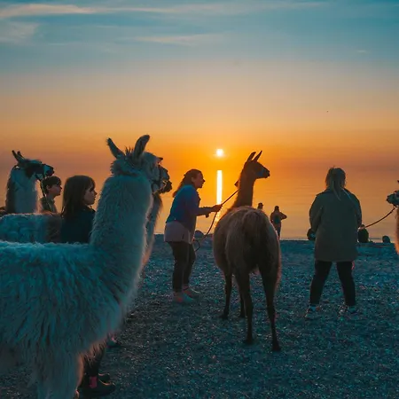 Levanto Westermarkelsdorf