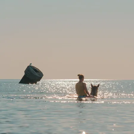 Διαμέρισμα Levanto Westermarkelsdorf