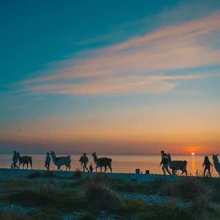 Διαμέρισμα Levanto Westermarkelsdorf