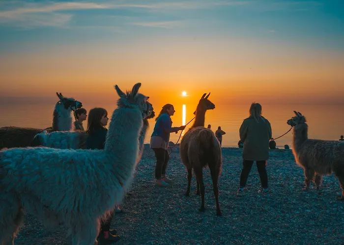 Levanto Westermarkelsdorf