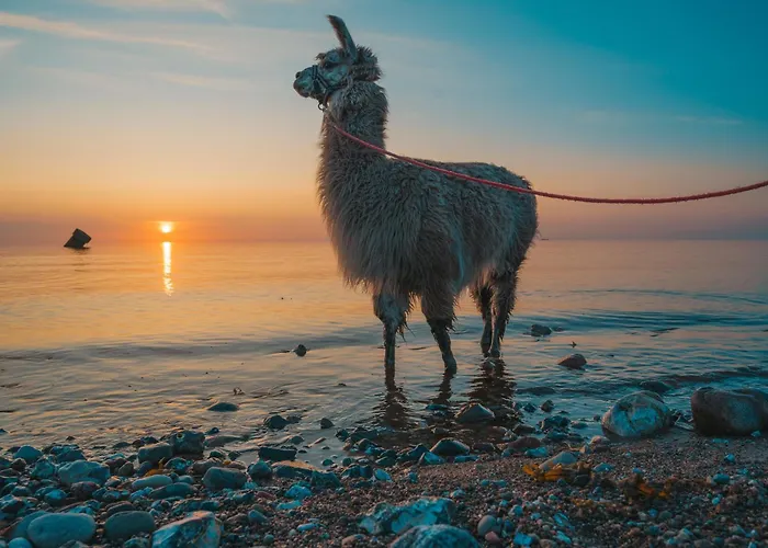 Levanto شقة Westermarkelsdorf