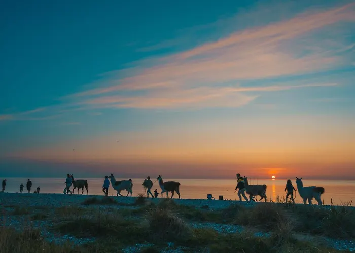 شقة Levanto Westermarkelsdorf